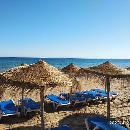 Tango Mango Apartment! Plaza 5 Min, Basen! Torrevieja Kültér fotó