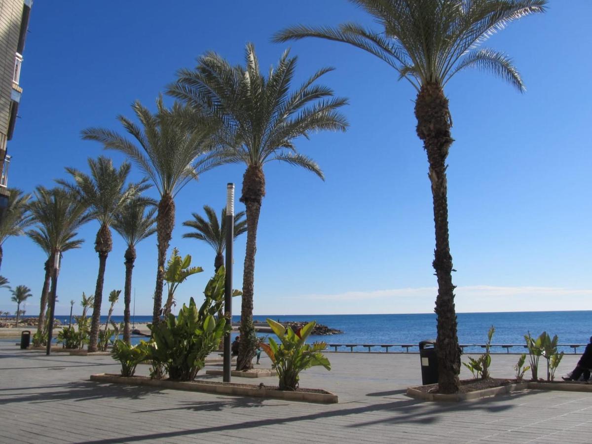 Tango Mango Apartment! Plaza 5 Min, Basen! Torrevieja Kültér fotó