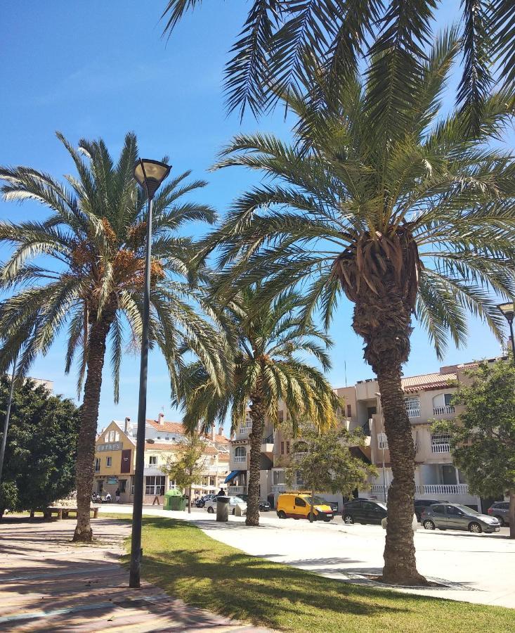 Tango Mango Apartment! Plaza 5 Min, Basen! Torrevieja Kültér fotó