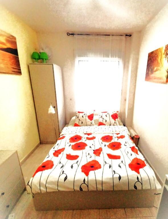Tango Mango Apartment! Plaza 5 Min, Basen! Torrevieja Kültér fotó